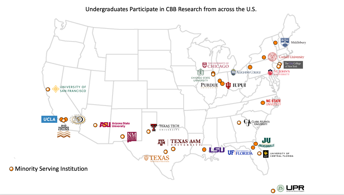 Undergraduates Participate from many colleges and universities