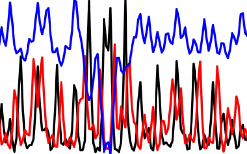 A jumble of blue, black, and red lines with many peaks and valleys.