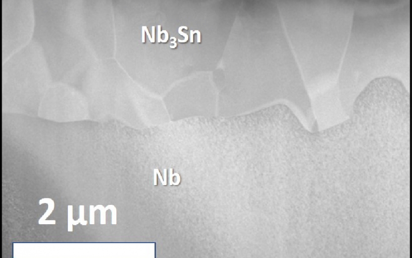 Scanning Transmission Electron Microscope image of Niobium coated with Tin 